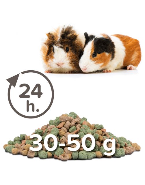 Beaphar Care Plus Cavia - Caviavoer