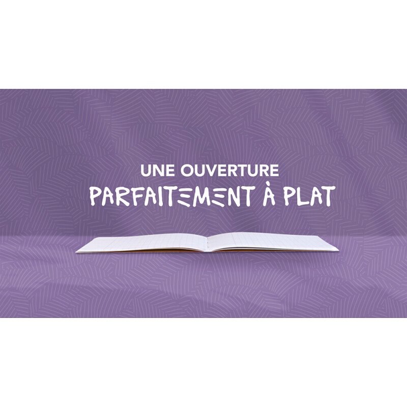 Cahier openflex elements agrafe 240x320 96p endosse seyes 96pages assorti