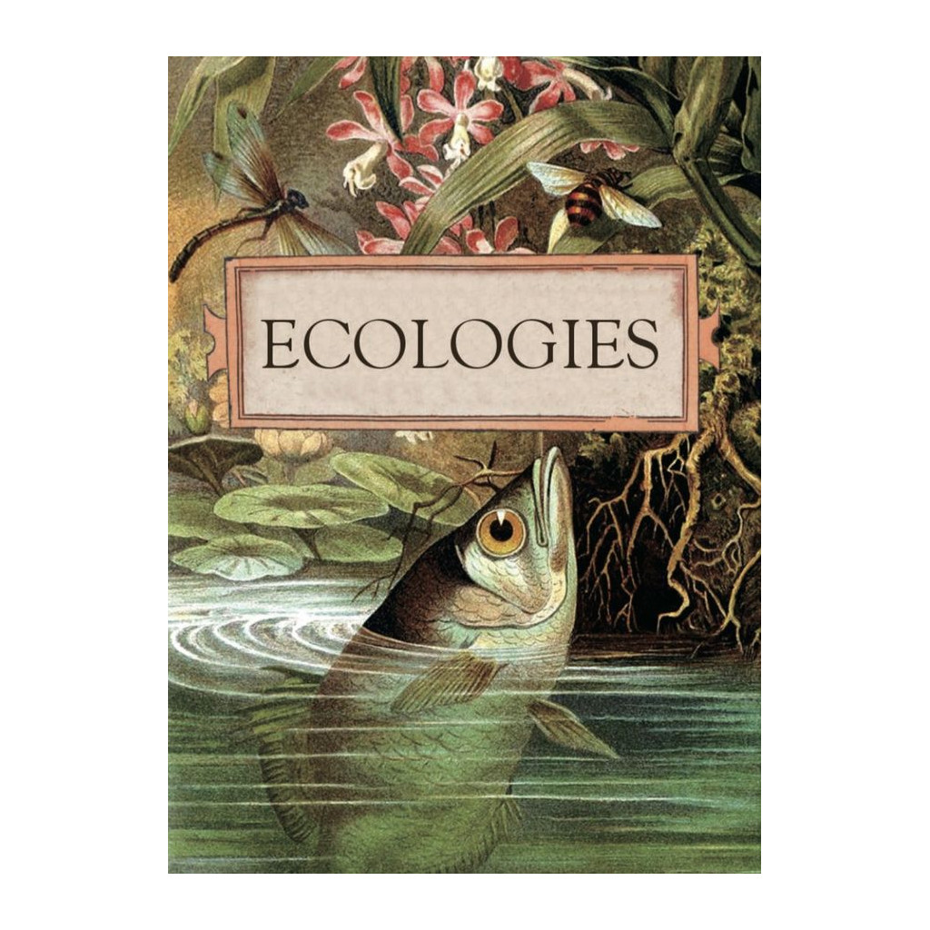Ecologies