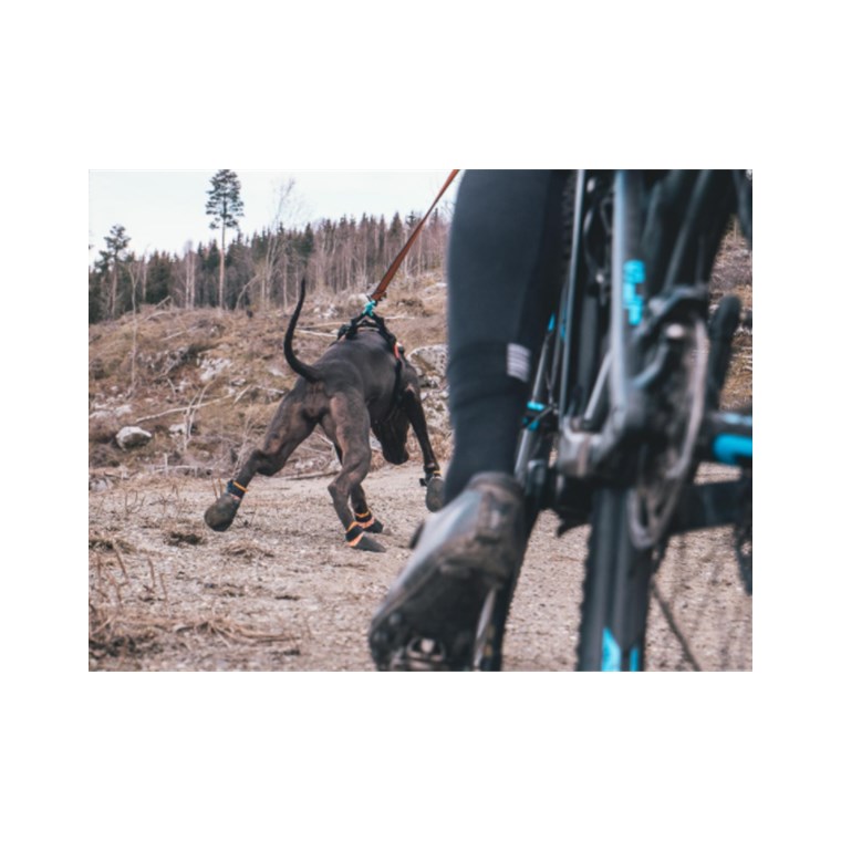 Non-stop dogwear Protector Booties