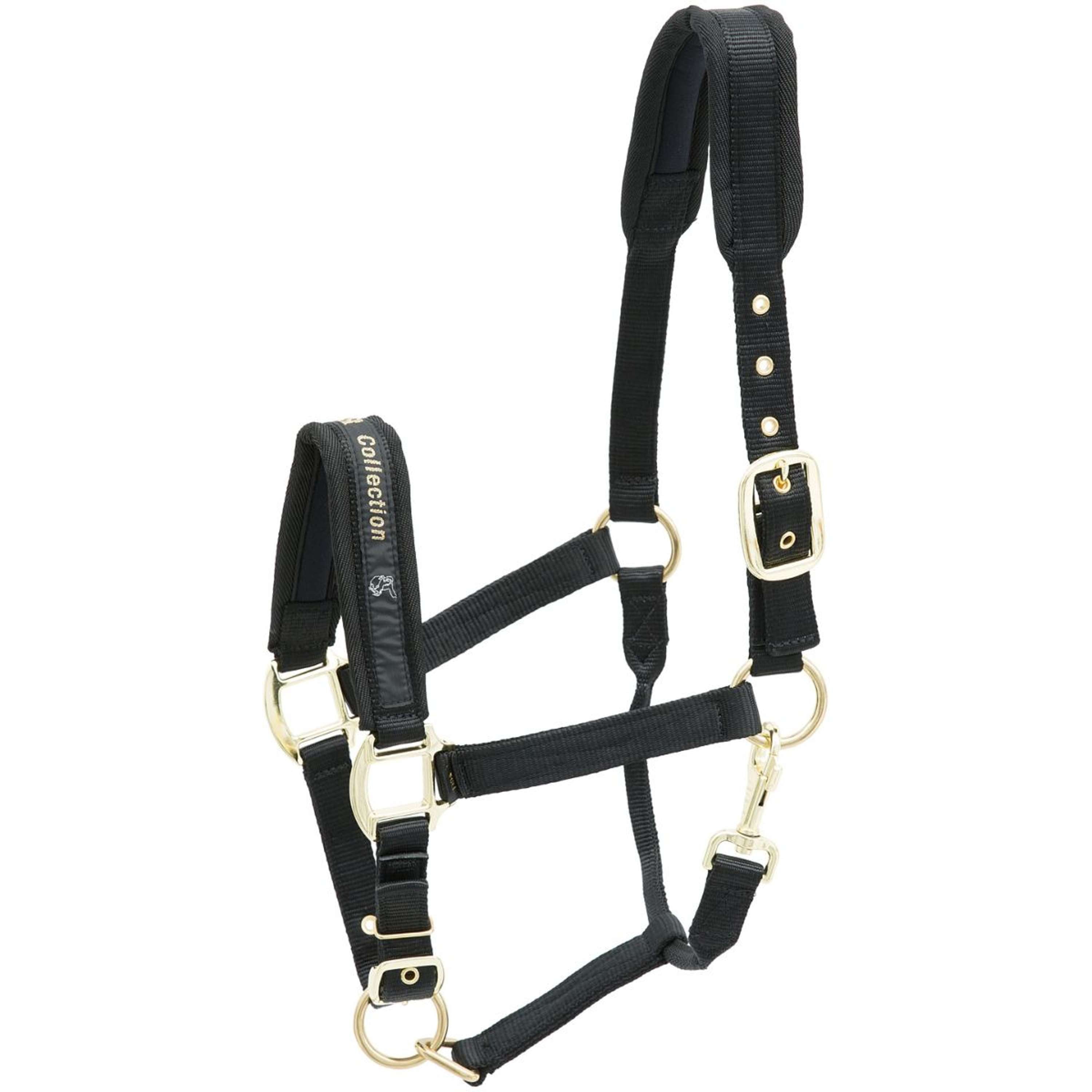 Kieffer Halster Nylon Zwart