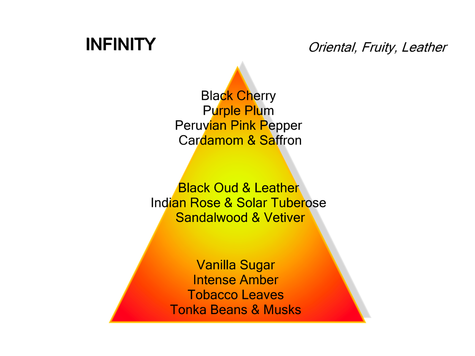 Montale Infinity