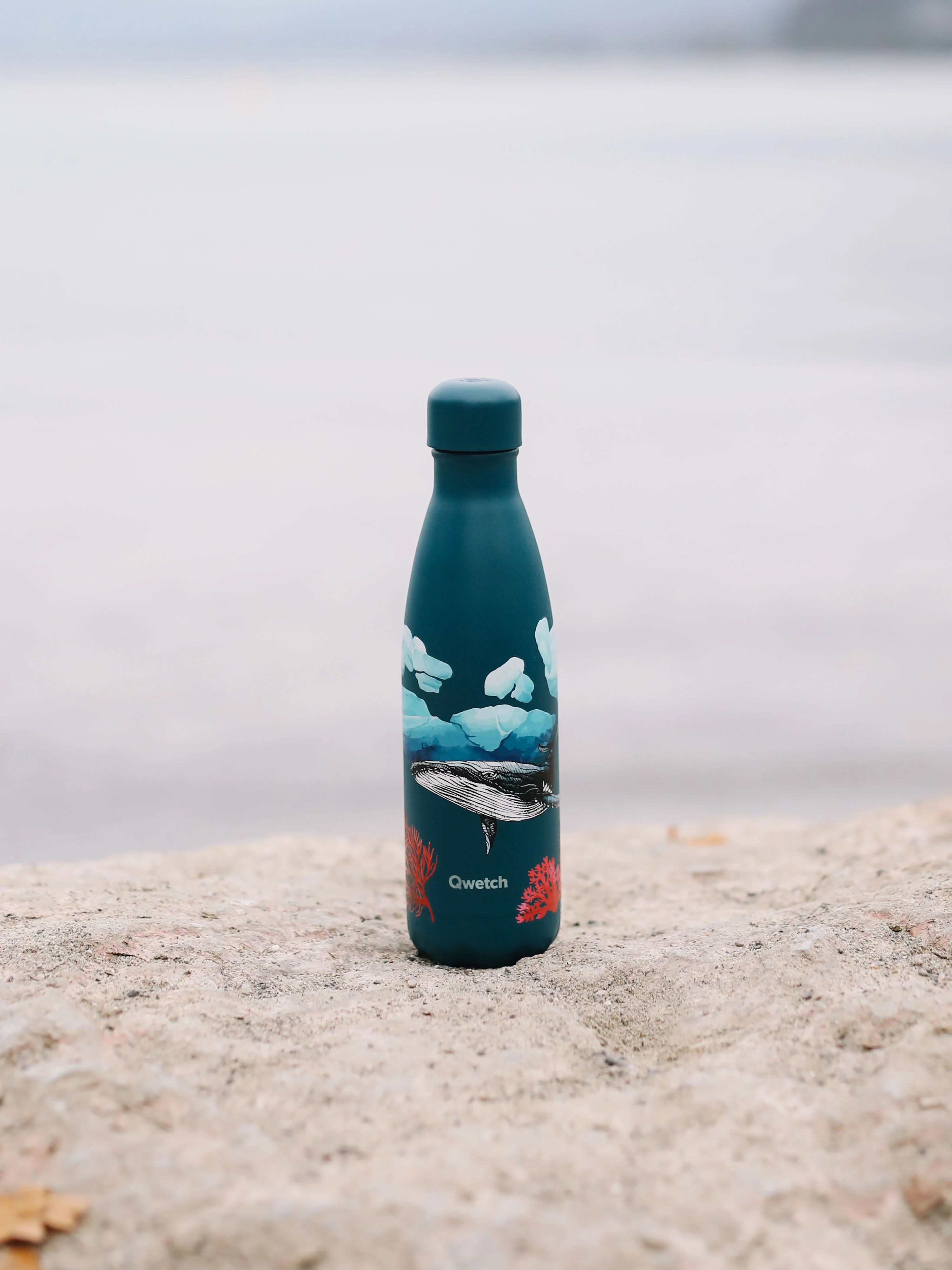 Bouteille Isotherme Originals Baleine - Qwetch