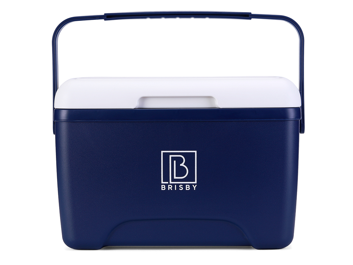 Brisby 8 liter koelbox met 2 koelelementen - Blue
