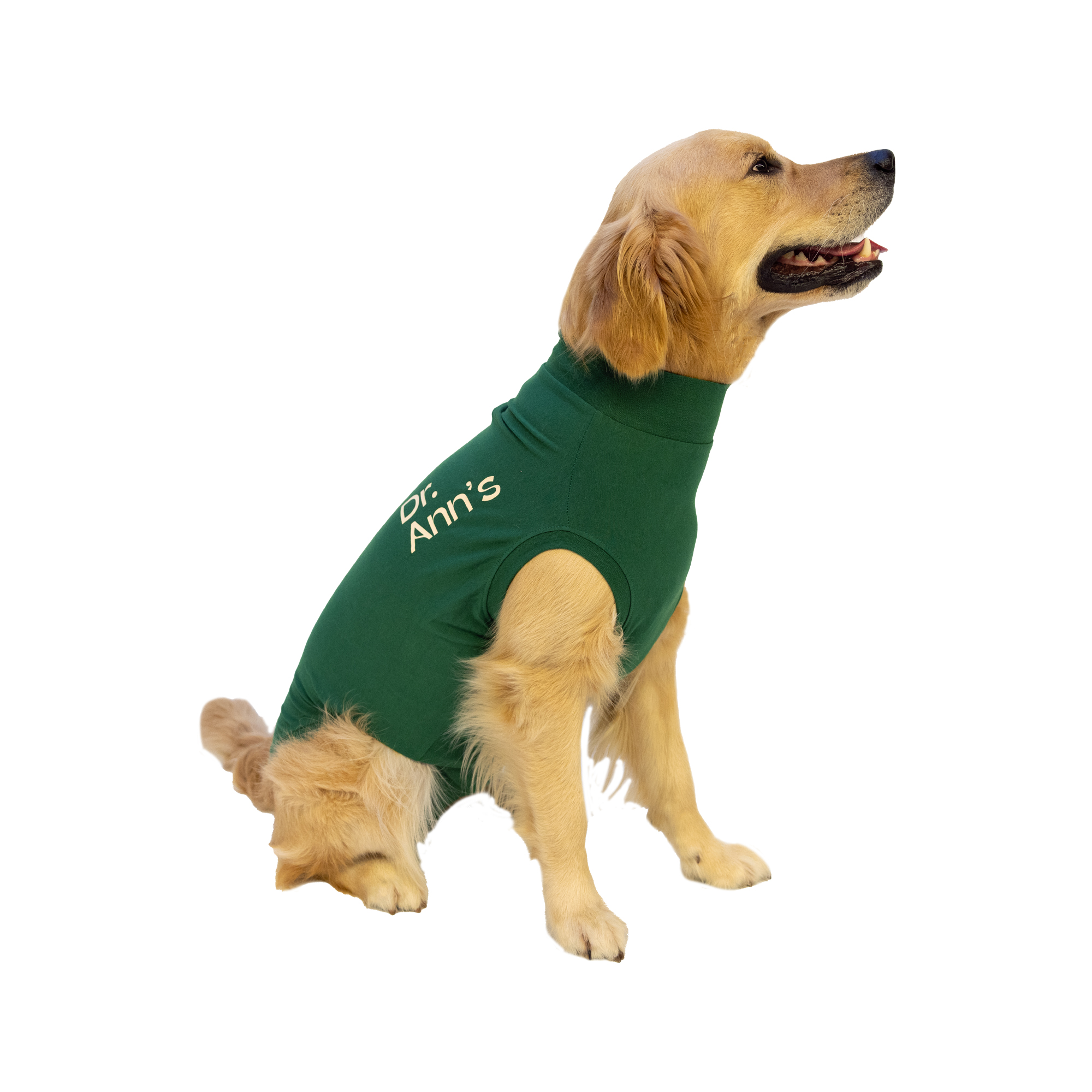 Dr. Ann's Protective Shirt Hond