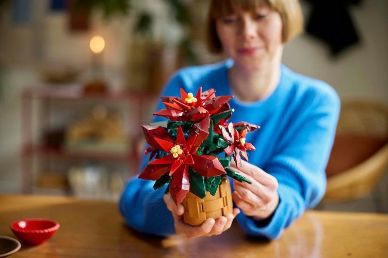 LEGO Icons Kerstster Poinsettia - 10370