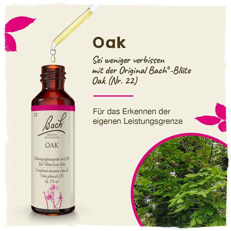Bachblüten Nr. 22 Oak Tropfen, 20 ml