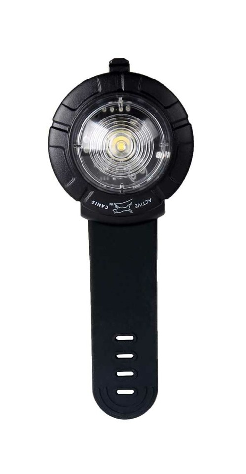 Active canis - Hundelygte Safety Lights Hvid Genopladelig
