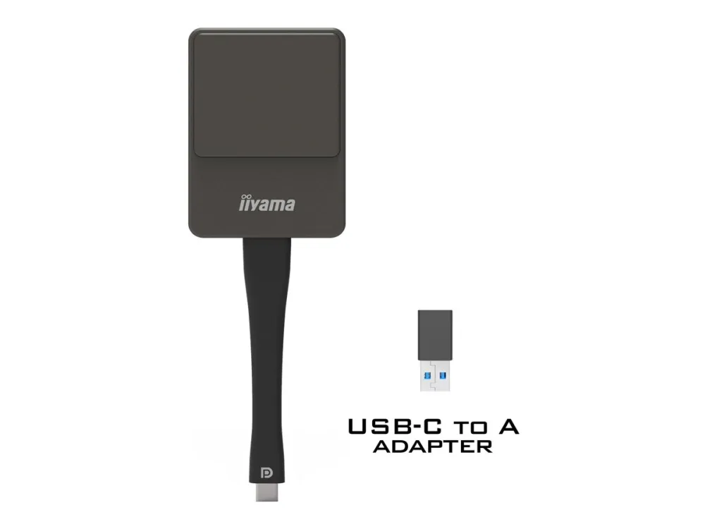 iiyama WP D002C - Streamingadapter til netværksmedie - sølv/sort