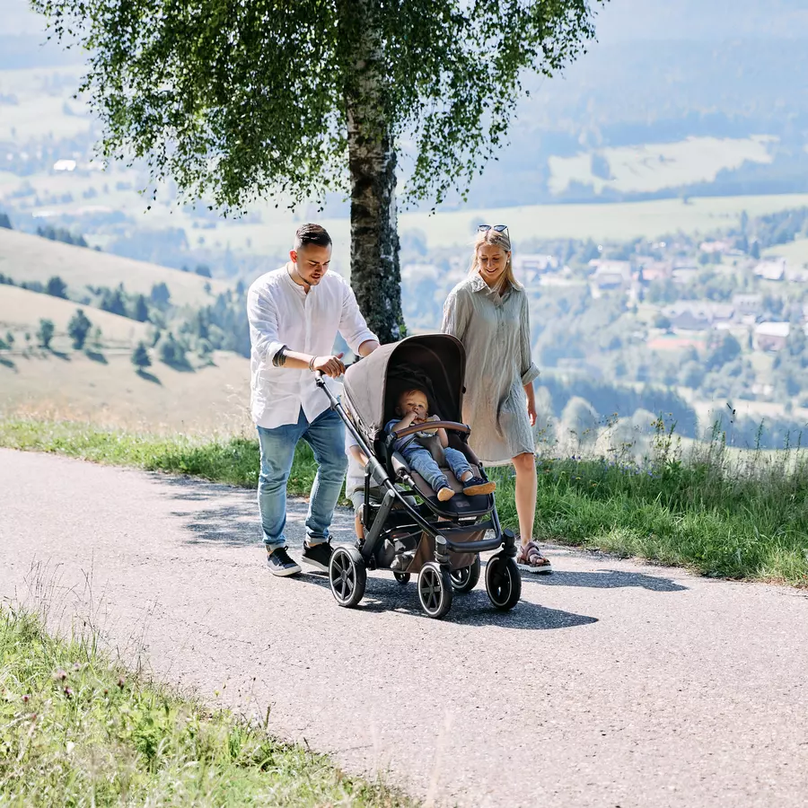 ABC DESIGN Kombikinderwagen Salsa 4 Air Nature Kollektion 2024
