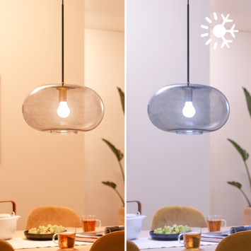 Philips Smart E27-fitting 60 watt