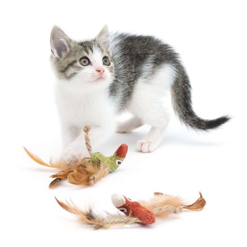 Lot de jouets TIAKI Toucans avec menthe à chat