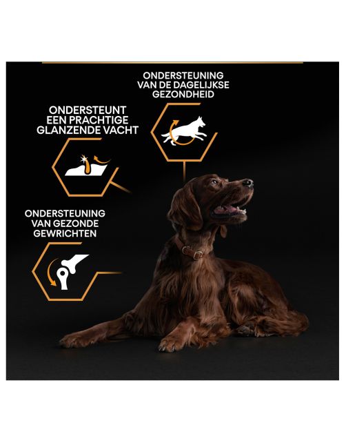 Pro Plan Dog Adult Athletic Large Breed Kip - Hondenvoer
