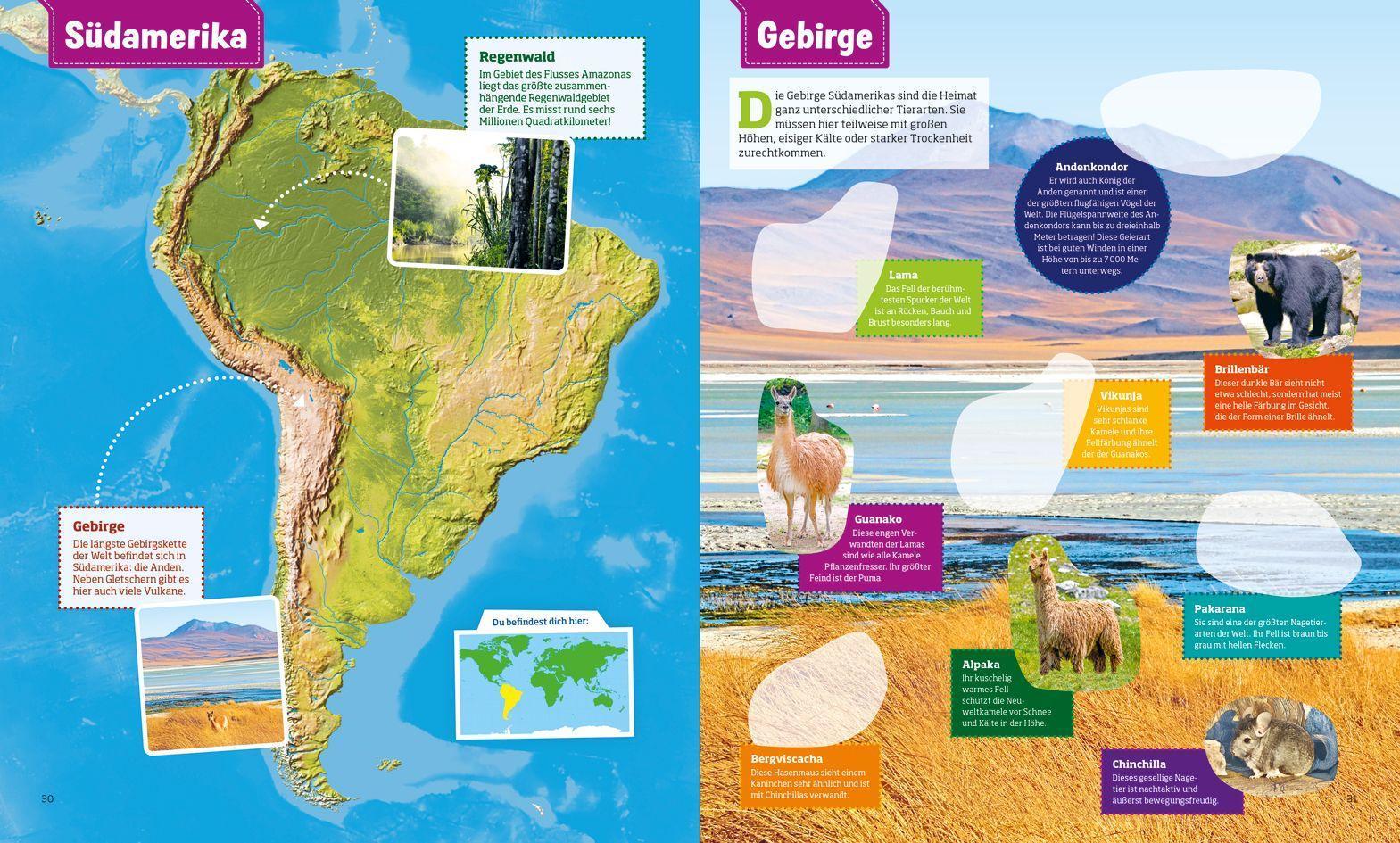 Was ist was Stickeratlas: Tiere aus aller Welt