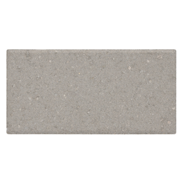 Stonewish Betontegel grijs 15x30x4,5 cm