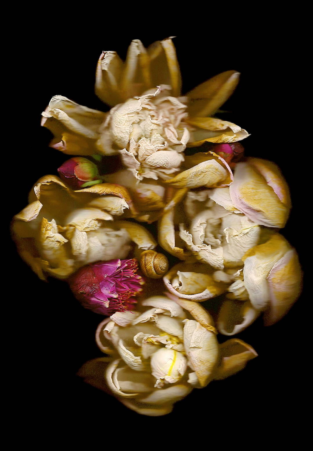 Vanitas X by Annet van der Voort - Limited Edition. Edition of: 150. Signed.