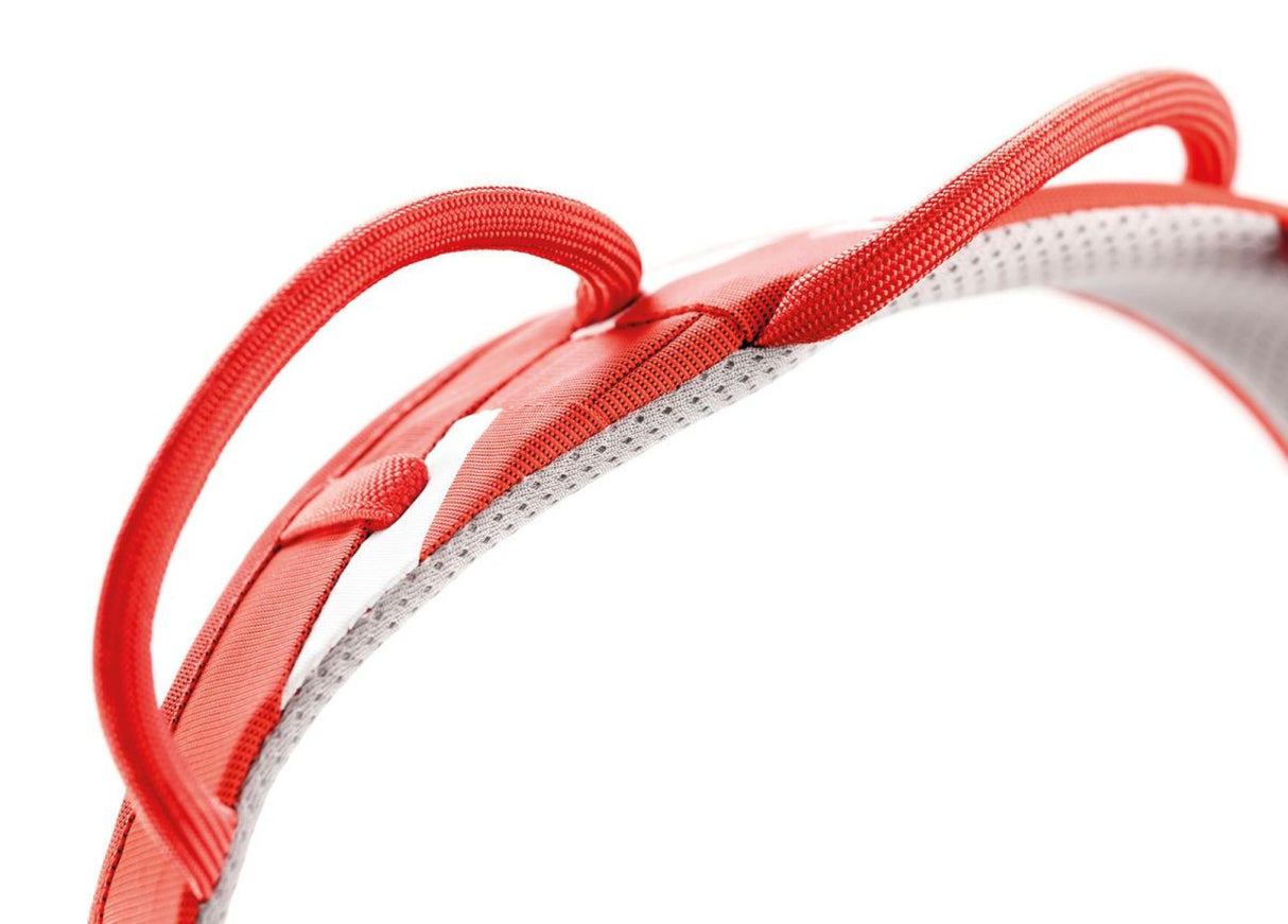 Petzl<br>Hirundos