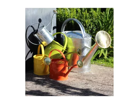 Arrosoir en acier galvanisé avec pomme 1.75 litres