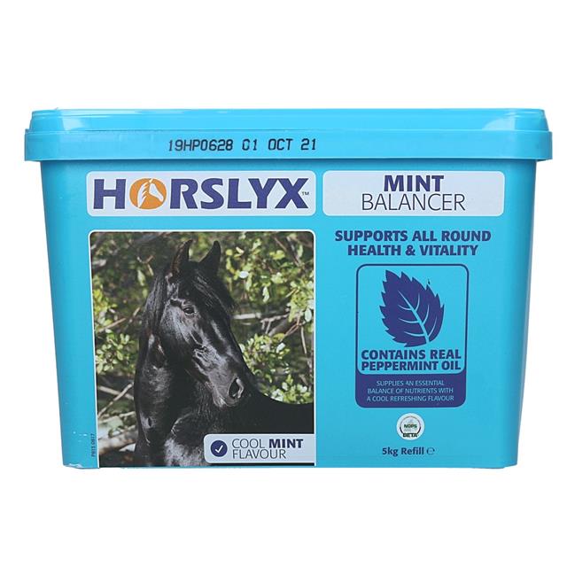 Liksteen Horslyx Mint