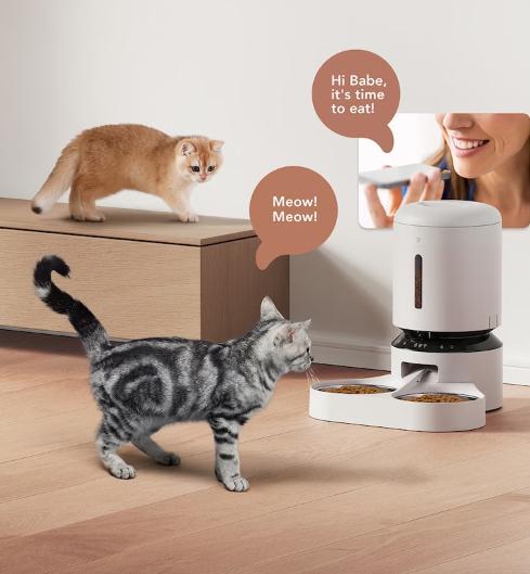 (5L) Granary Automatic Dual Feeder Automatischer Haustier Futter Spender inkl. Kamera / App Steuerung iOS/Android (PL-AF203-96B) - Schwarz