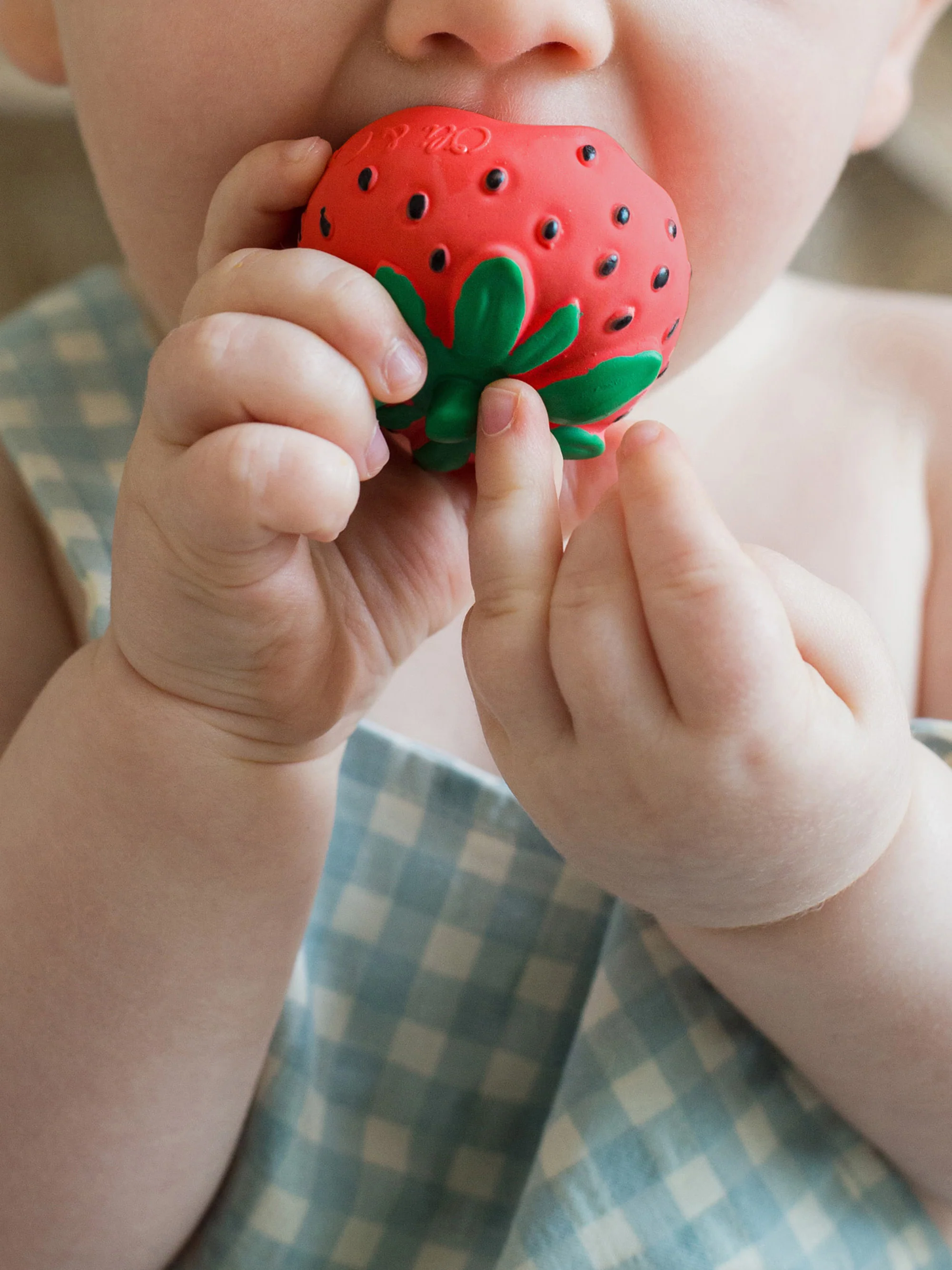 Handgemaakte bijtring Fruits & Veggies