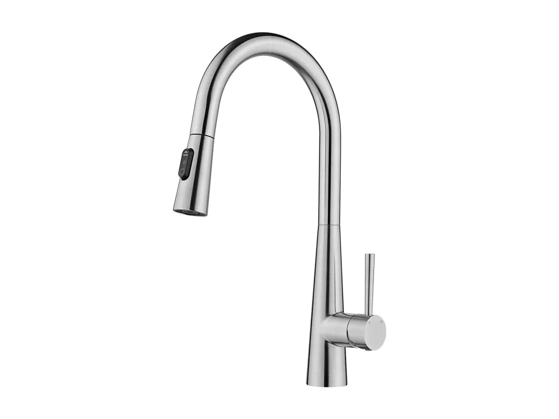 Cecipa max Mitigeur de Cuisine avec Douchette Extractible - Robinet d'Évier avec 3 Modes de Sortie D'eau - Mitigeur Cuisine en Inox Brossé,EU Modèle