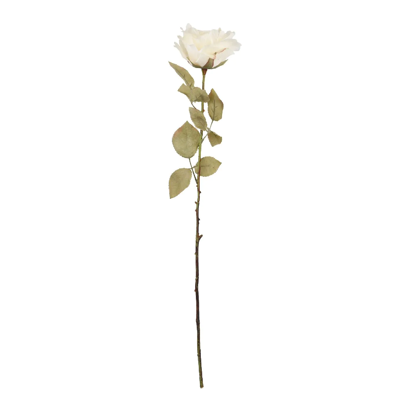 Rose Theresa, creme, 63 cm