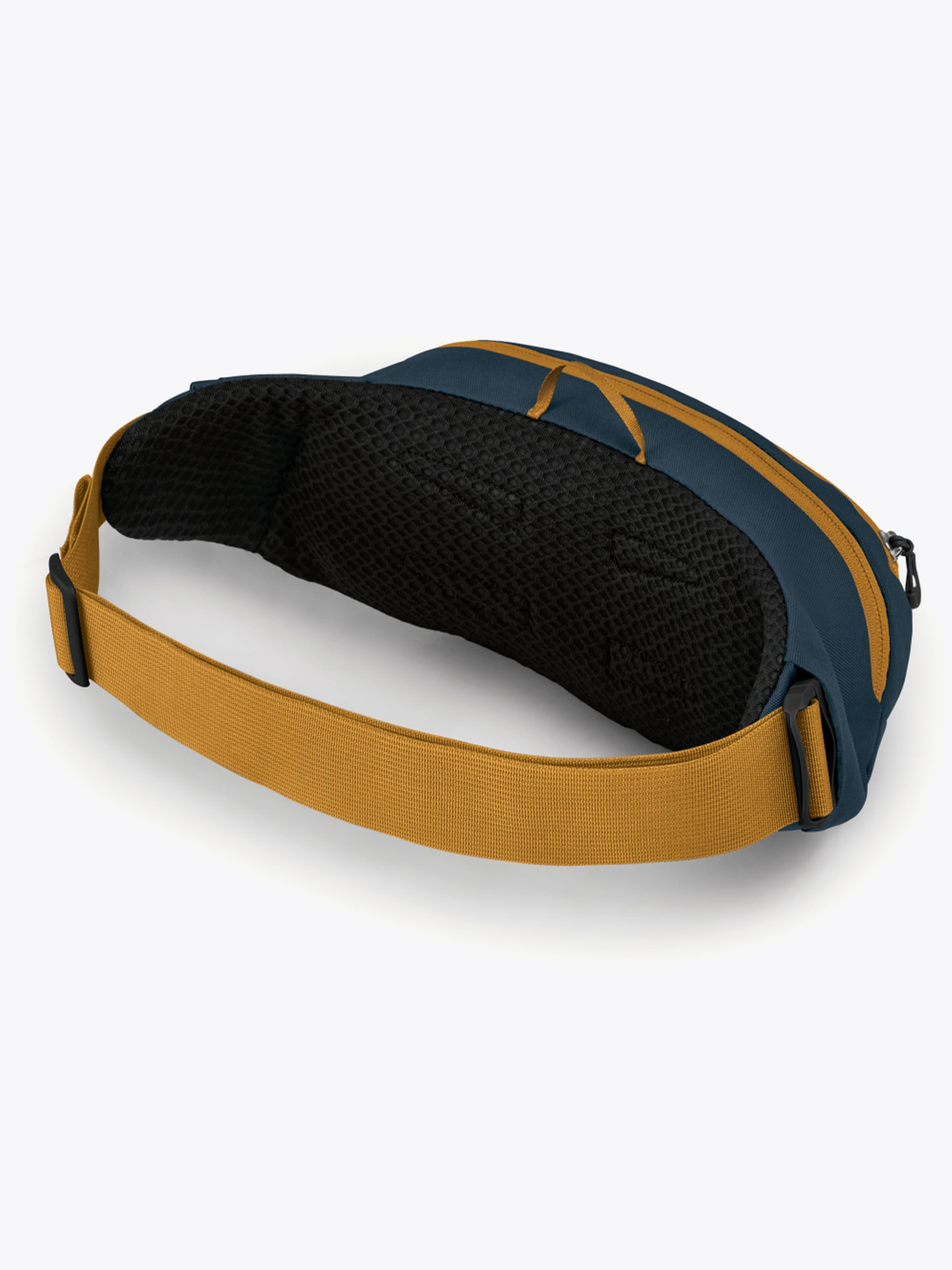 Daylite Waist