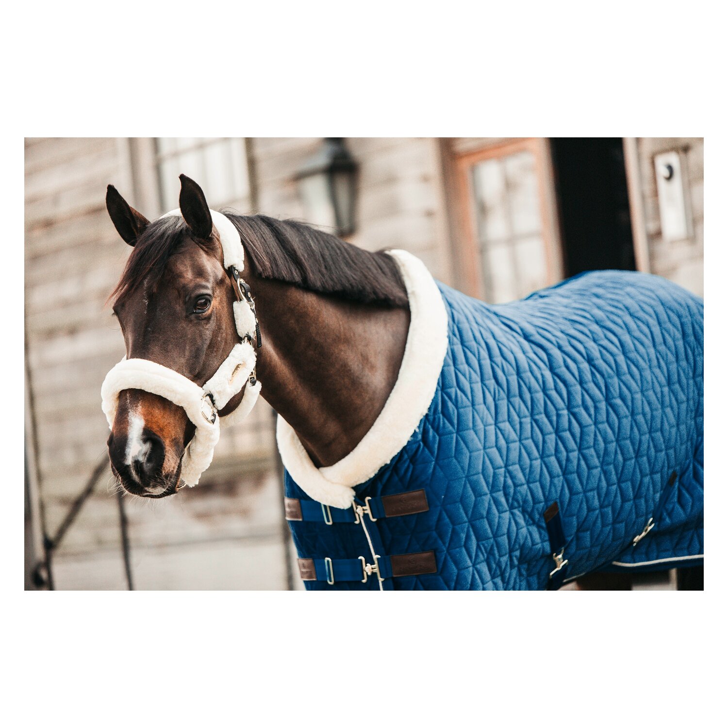 KENTUCKY Show Rug Velvet  - navy