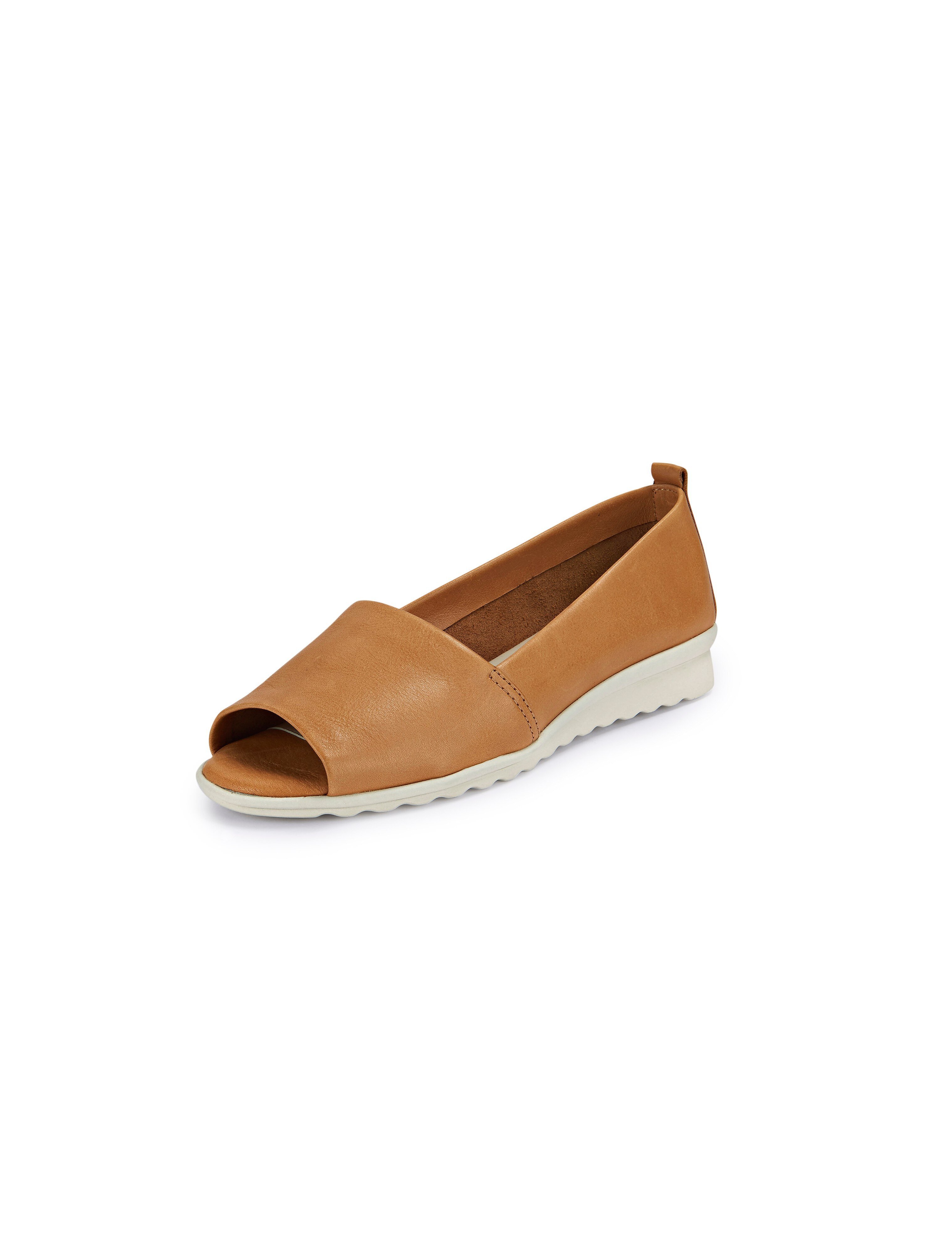 Slipper Fantastic