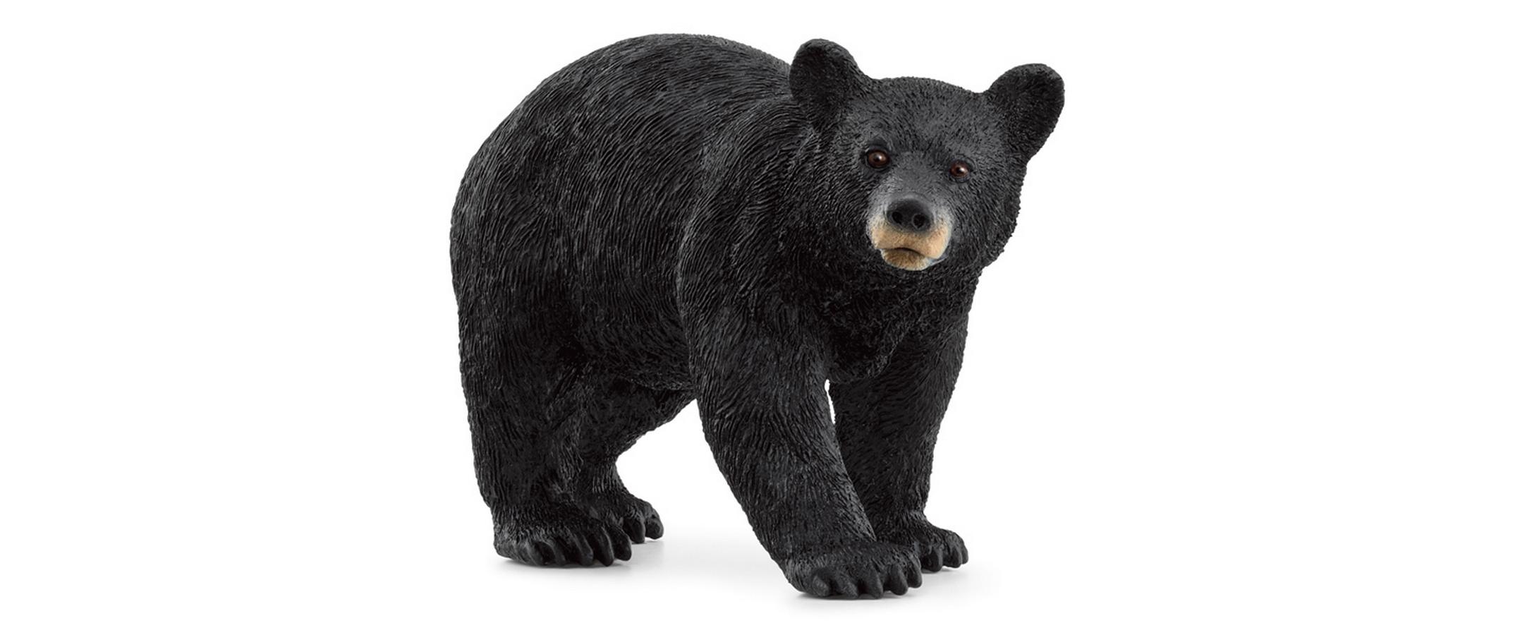 Spielzeugfigur Wild Life Amerikanischer SchwarzbärSpielzeug-Tierfigur