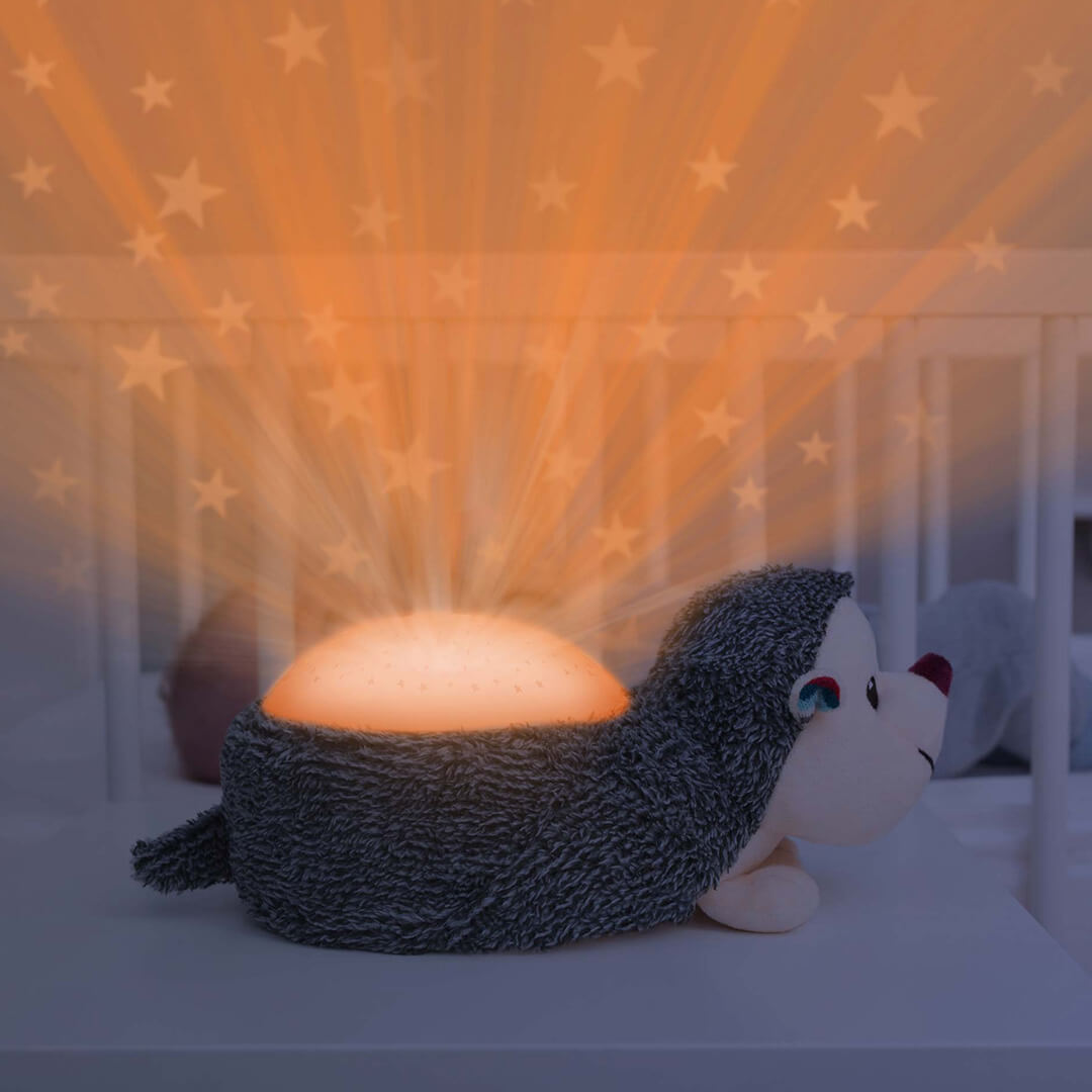 Zazu muziekdoos en lichtprojector harry