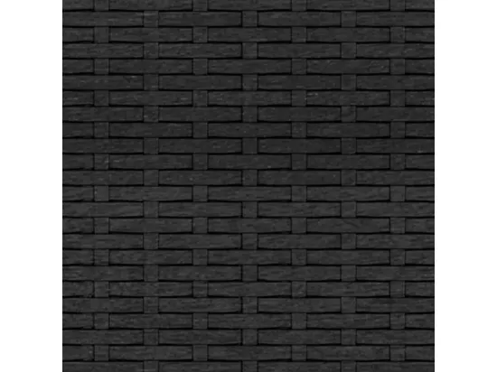 Canapés centraux de jardin et coussins 2pcs Noir Résine tressée