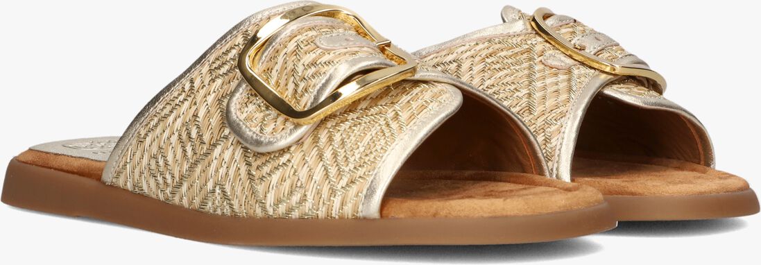 gouden unisa slippers cray