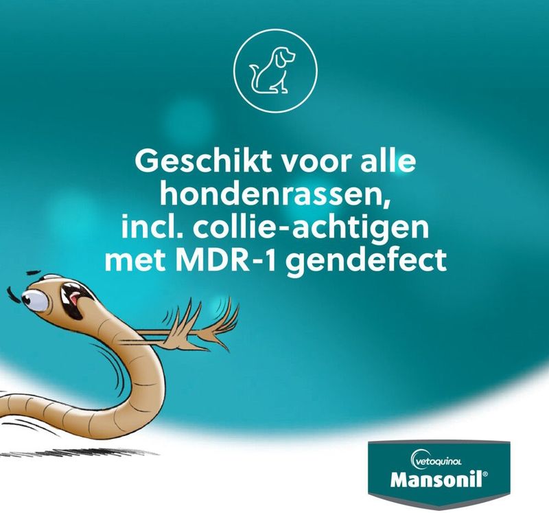 Mansonil All Worm Large Cat Ontworming - Grote Kat - 2 tabletten