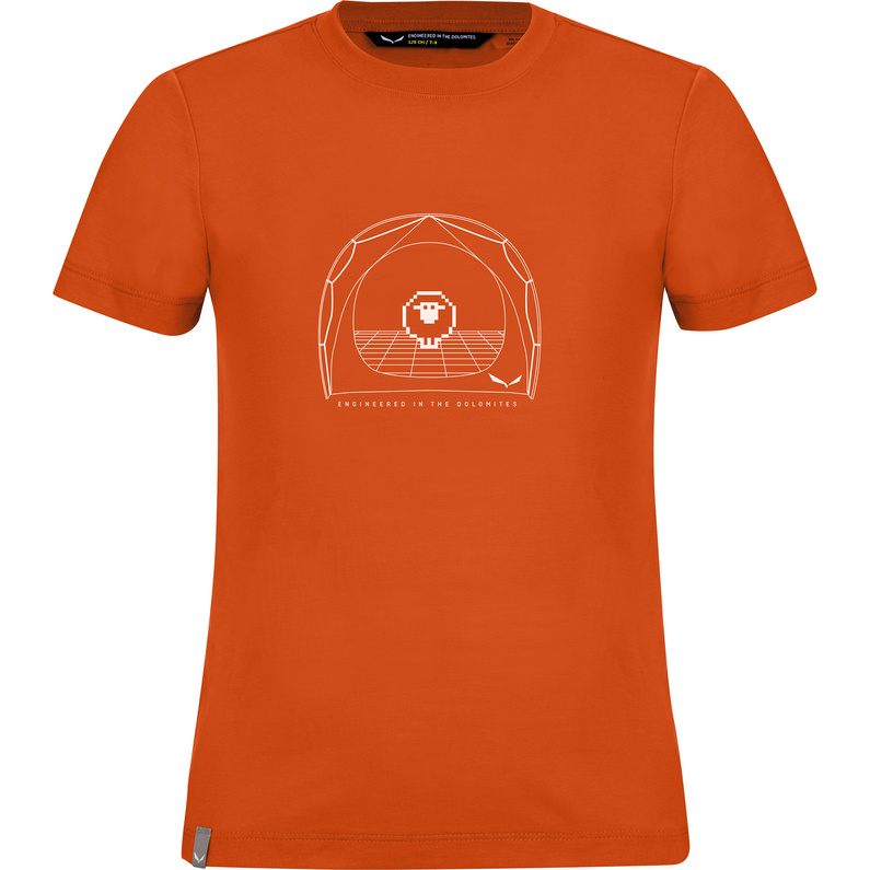 Salewa Kinder Graphic Dry S/S T-Shirt