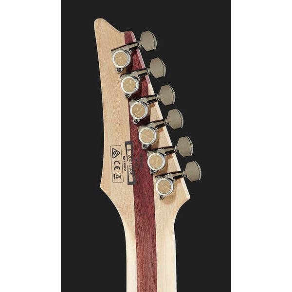 Ibanez RGIB21-BK