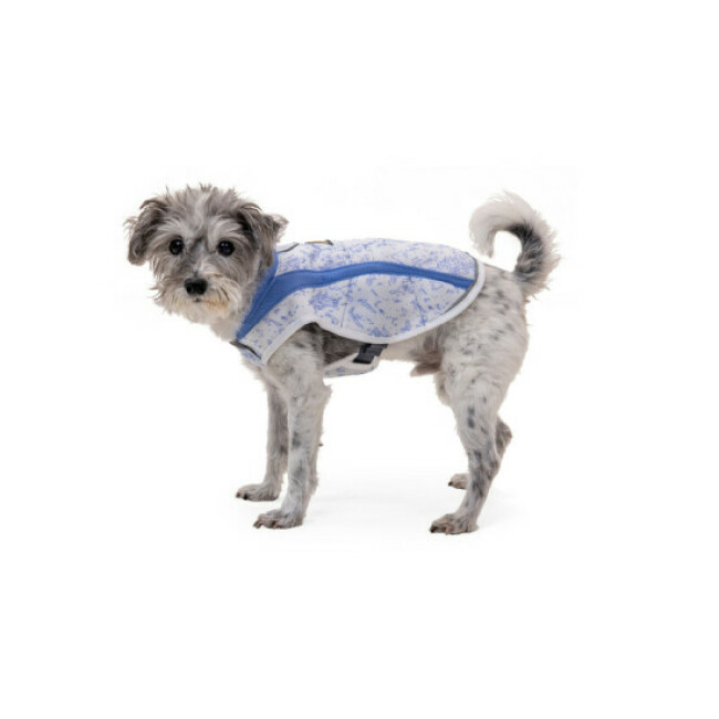 Veste Swamp Cooler violette Ruffwear