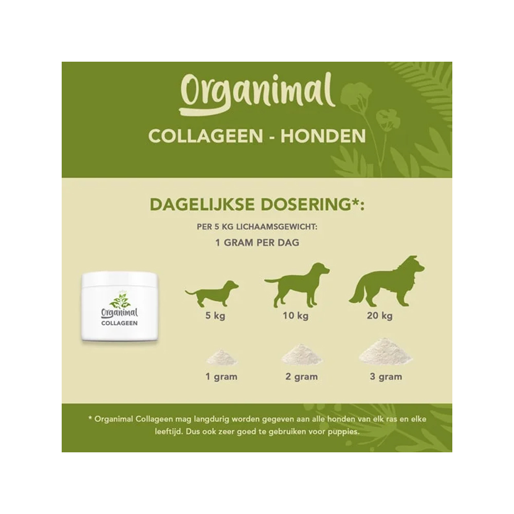 Organimal Collageen voor Honden