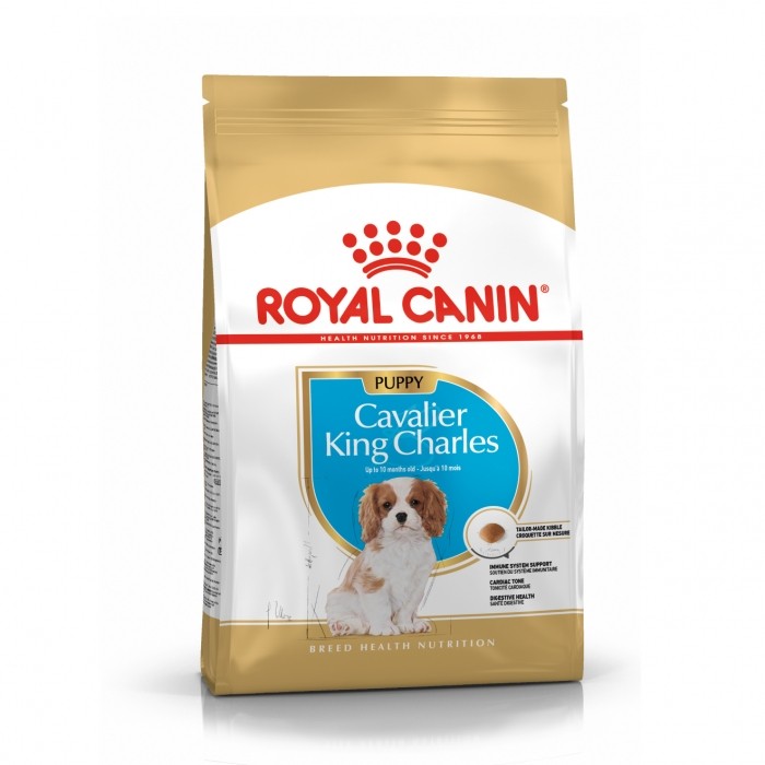 Royal Canin Cavalier King Charles Puppy - Croquettes pour chiot