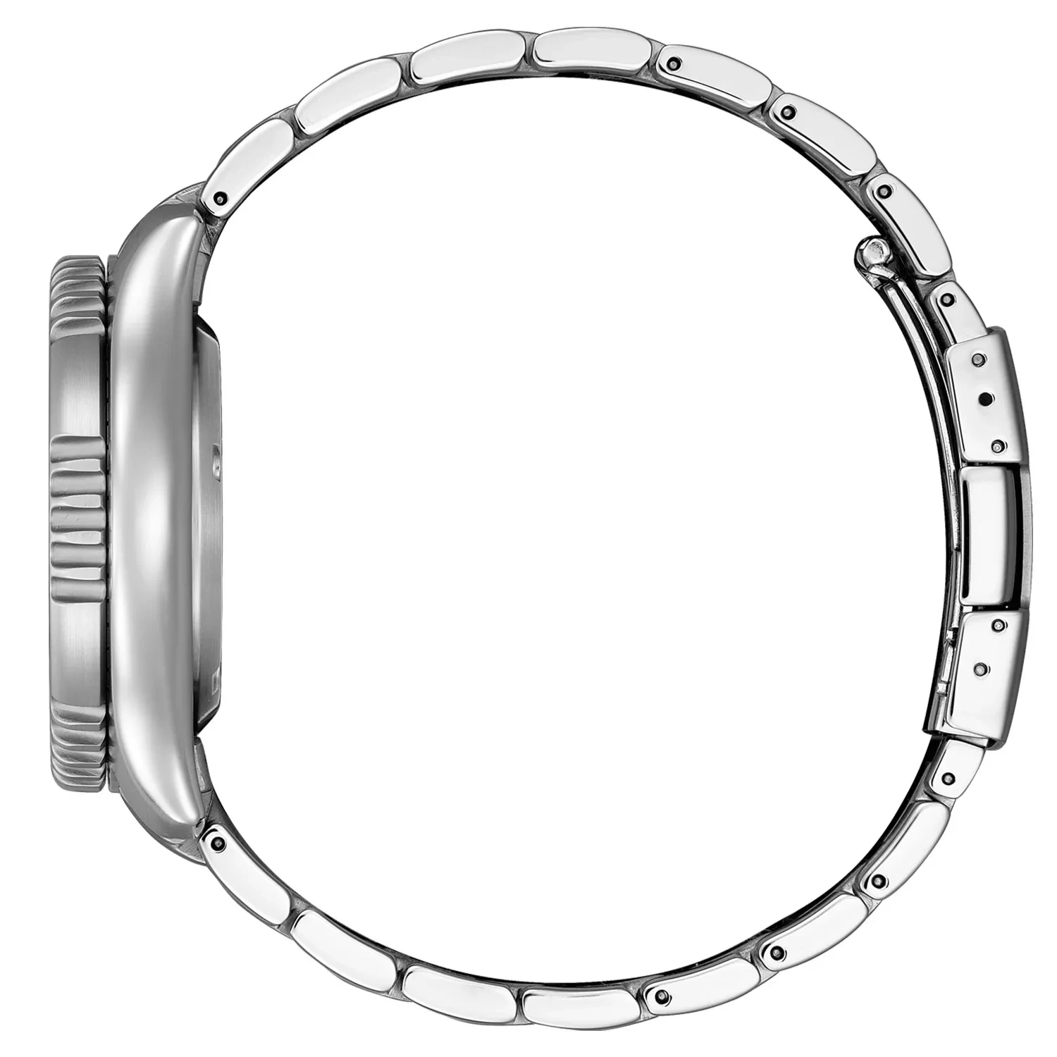 Citizen Promaster Marine Automatic NY0160-66EE