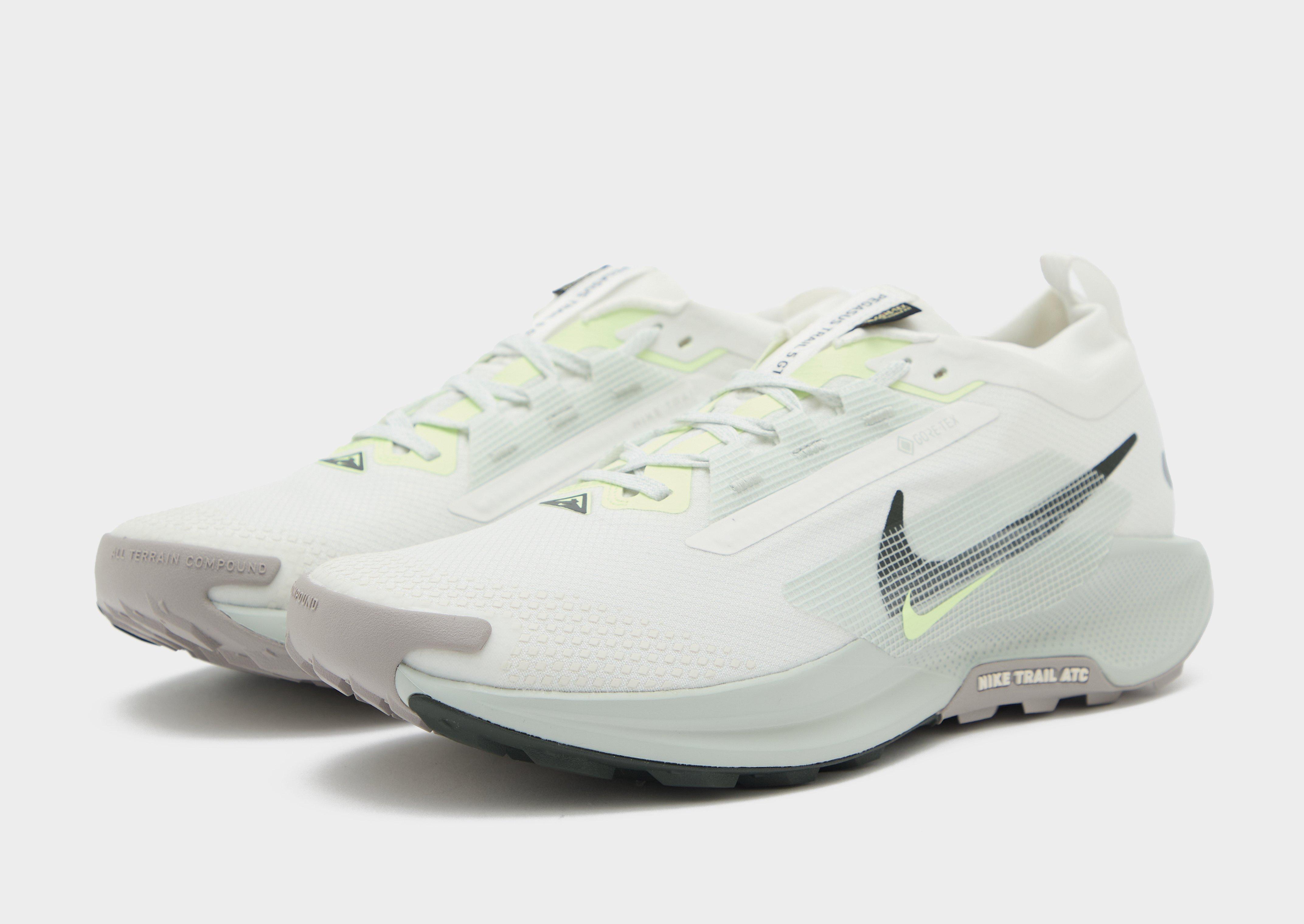 Nike Pegasus Trail 5 GORE-TEX Homme