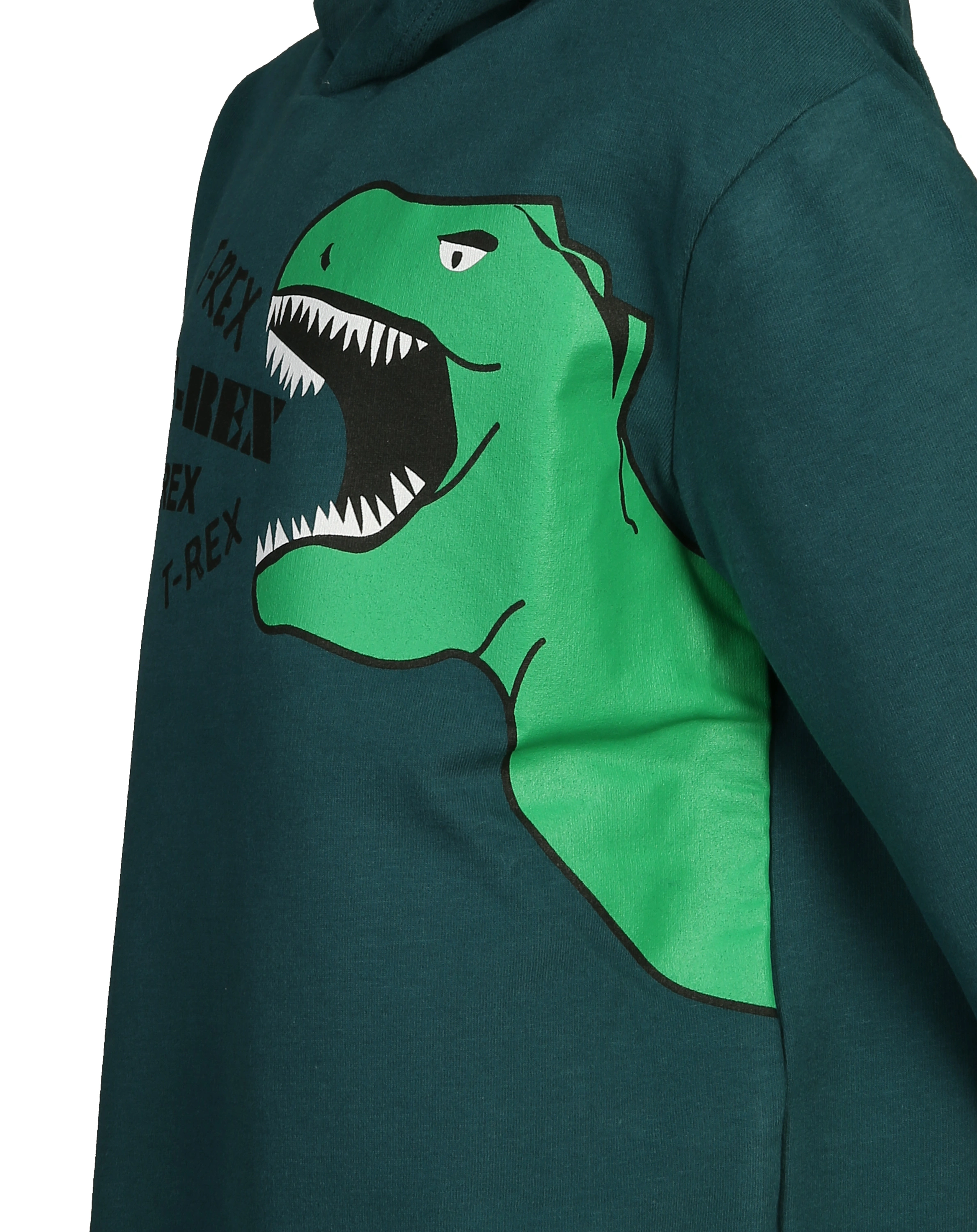 Kapuzen-Sweatshirt T-REX in dunkelgrün