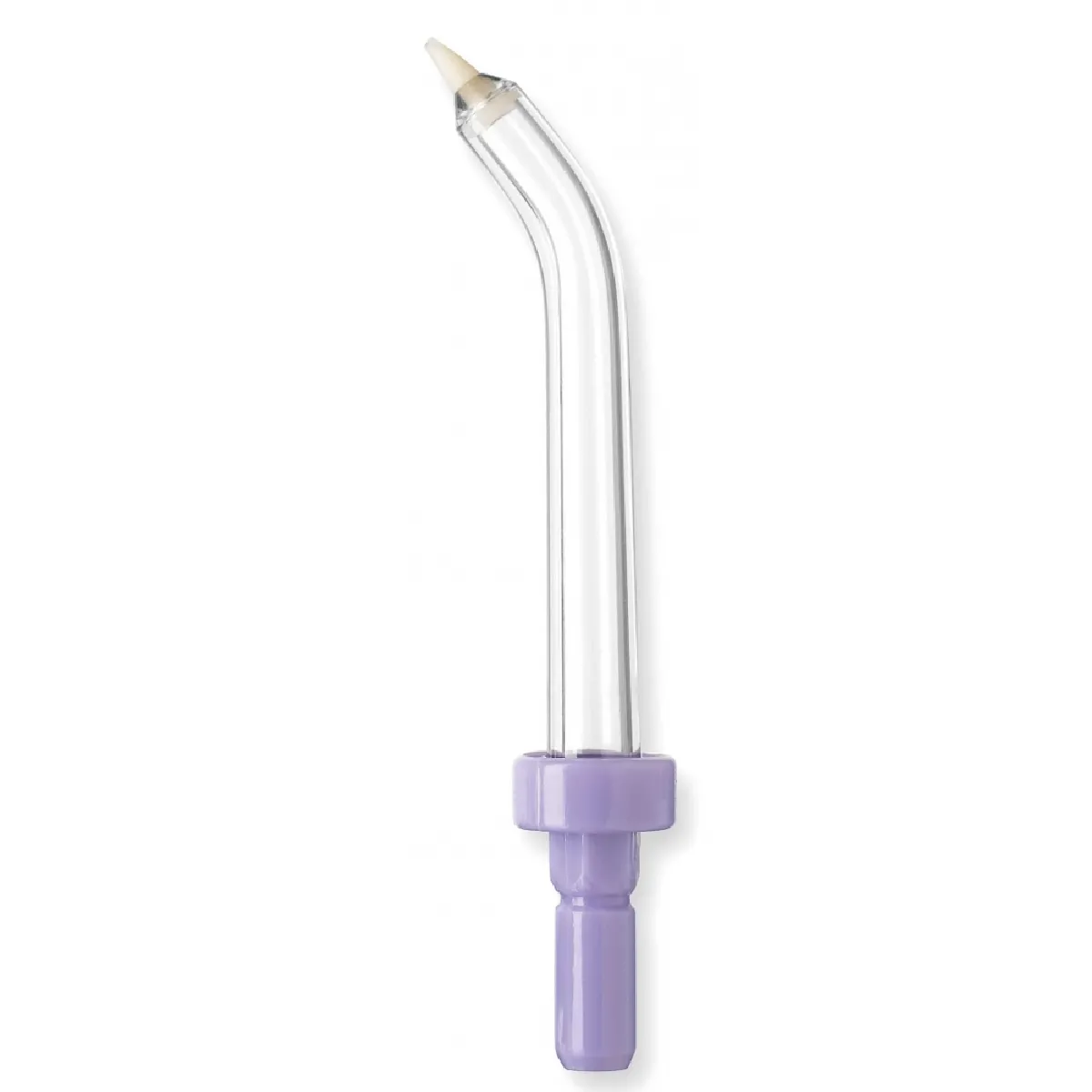 Waterpik WP70 Pik Pocket