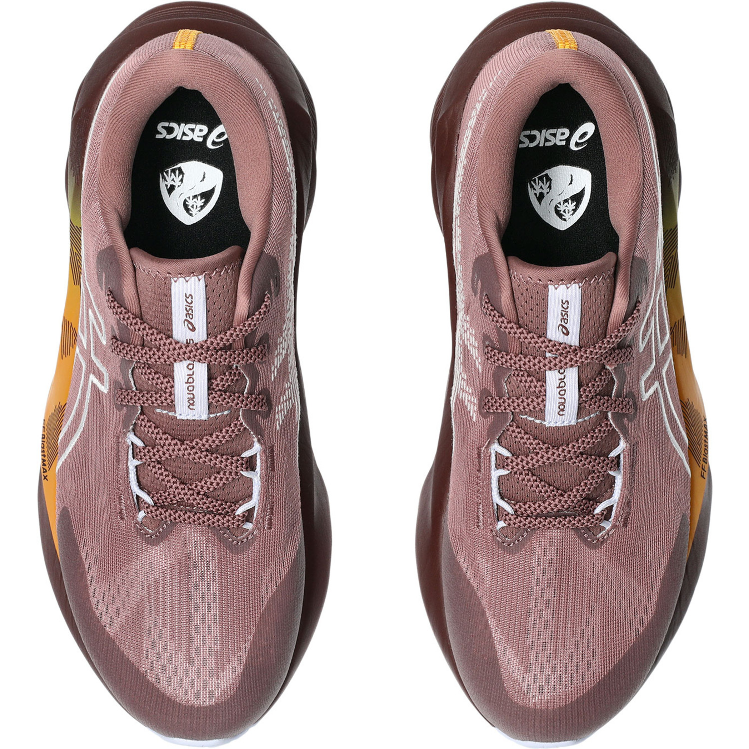 ASICS Novablast 5 TR Dames