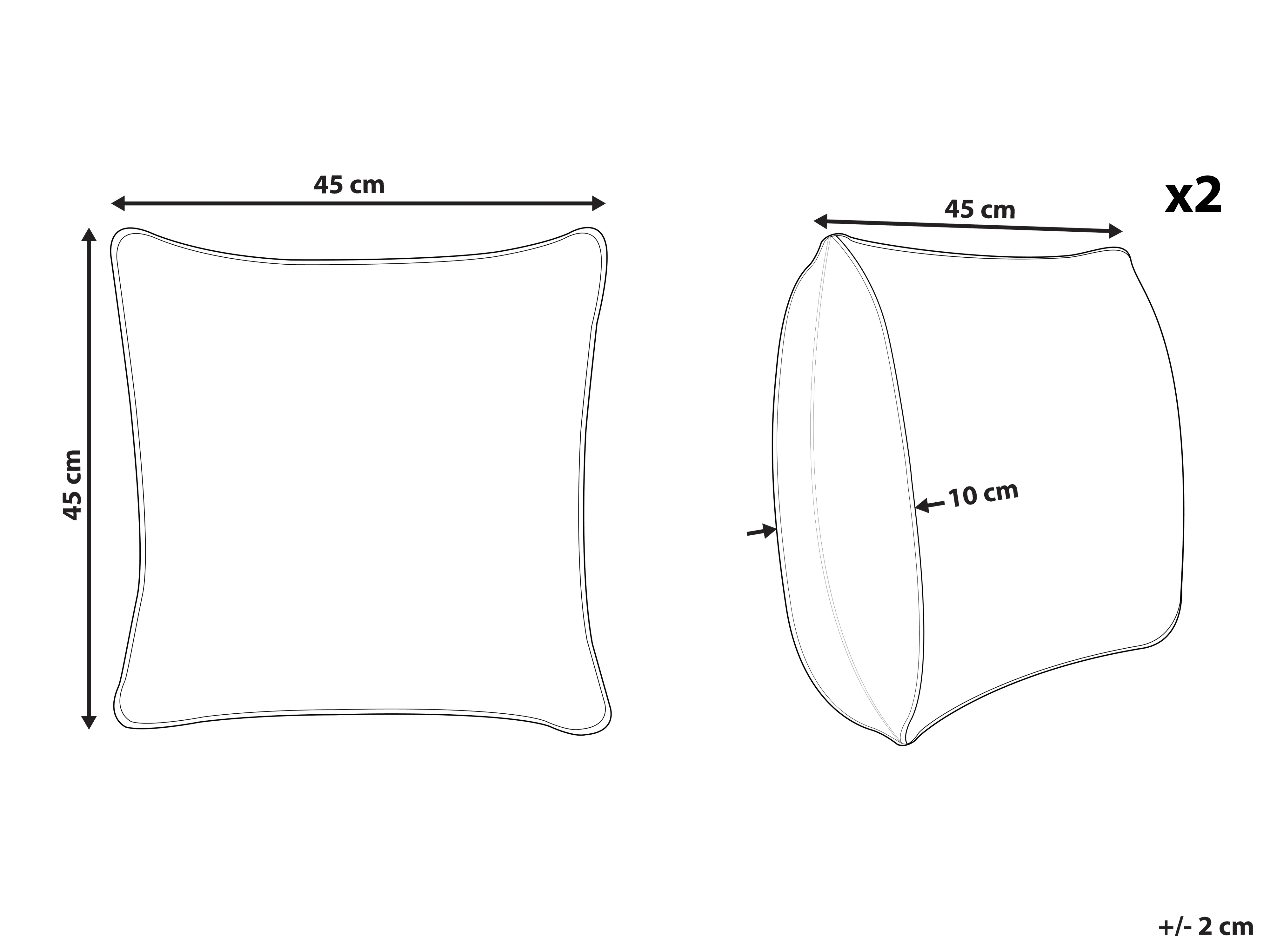 Set van 2 sierkussens DELICIOSA Fluweel 45 x 45 cm Donkergroen bladpatroon