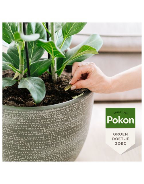 Pokon Bio Kuur Weerbare Gezonde Plant Caps - Insectenbestrijding - 12 stuks