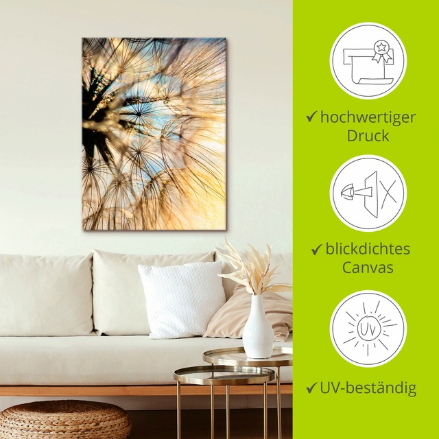 Artland Leinwandbild »Pusteblume Poesie« Blumen 1 Stk. tlg. als Leinwandbild, Poster, Wandaufkleber in verschied. Grössen