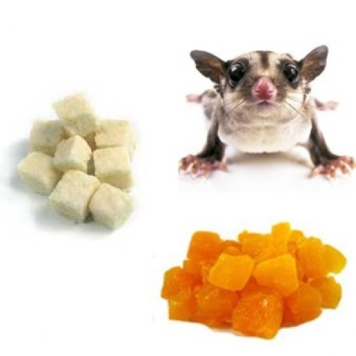 Petisco de frutas secas com sabor de coco e manga para gambás-de-açúcar.