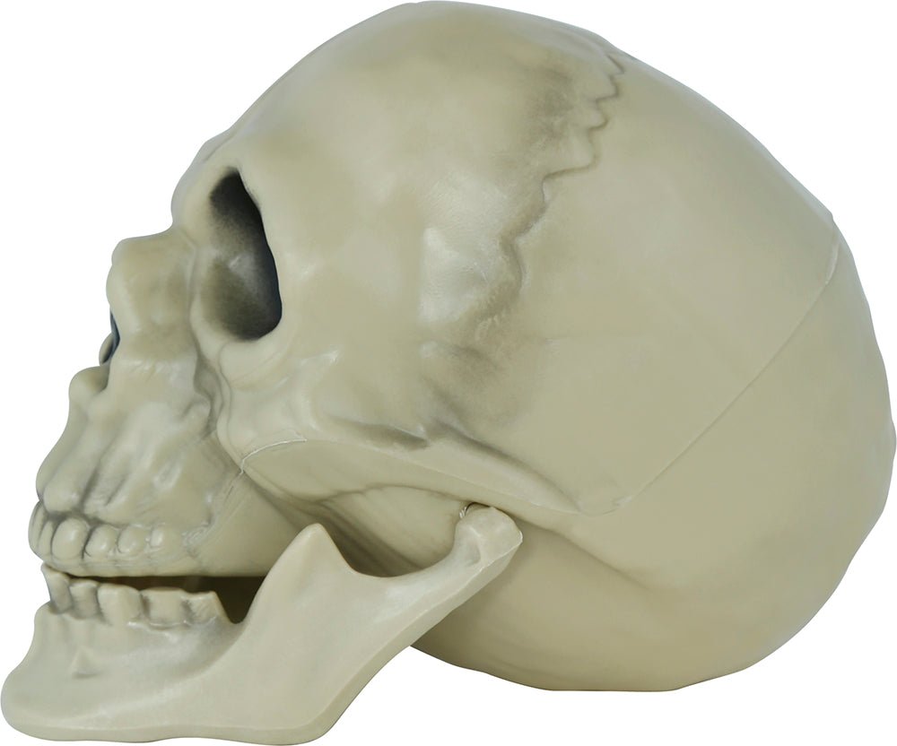Halloween Schedel 13cm